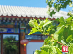 2020國(guó)際戰略研究班線下(xià)開(kāi)學了(le)